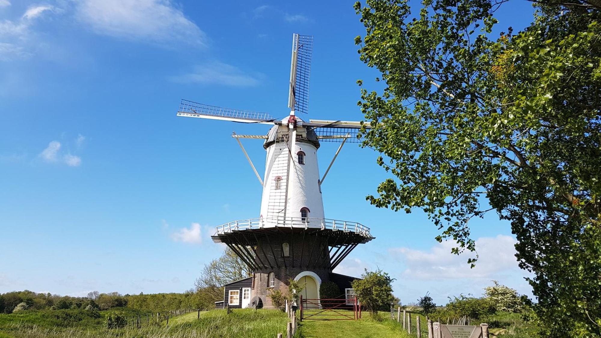 Olmenduin Chalet Veere Zeeland Serooskerke  Exterior foto